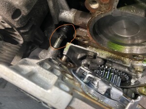 写真 2025-11-17 18 50 54