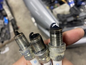 写真 2025-11-08 19 17 14