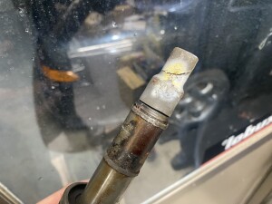 写真 2025-11-10 17 48 57