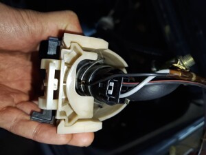 写真 2025-11-07 19 17 09