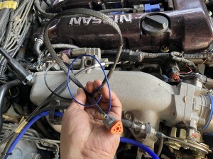 写真 2025-11-05 14 46 39