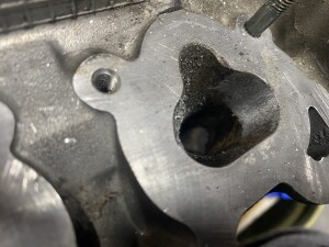 写真 2025-11-09 12 55 45