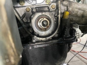 写真 2025-11-19 16 28 07