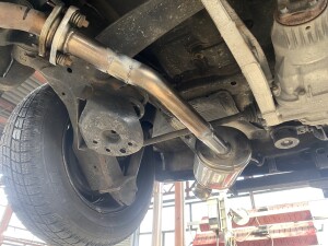 写真 2025-10-28 12 56 46