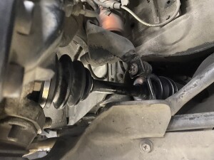 写真 2025-11-11 18 04 39