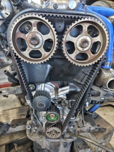 写真 2025-11-14 19 28 55 (1)