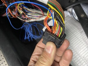 写真 2025-11-14 18 48 48