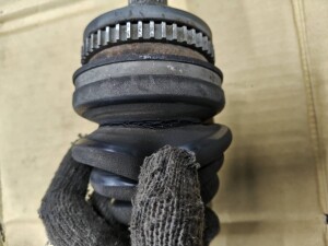 写真 2025-11-11 20 05 24 (1)