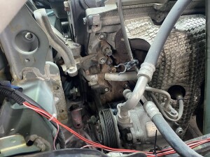 写真 2025-11-17 17 58 20