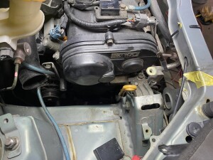 写真 2025-11-19 19 30 39