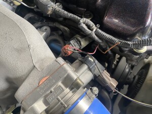 写真 2025-11-05 12 21 22