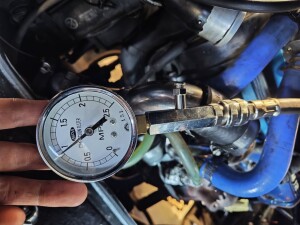 写真 2025-10-30 19 52 22 (1)