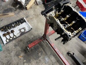 写真 2025-11-05 21 17 41