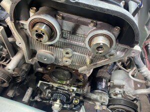 写真 2025-11-17 18 52 16