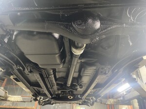 写真 2025-12-15 18 09 41