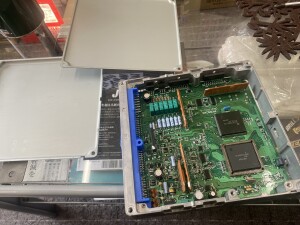 写真 2025-11-27 13 42 37