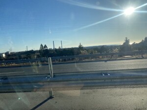 写真 2025-12-19 8 14 23