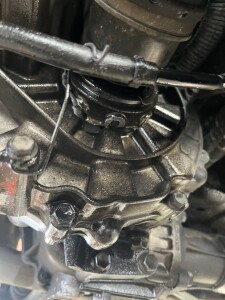 写真 2025-12-31 1 21 39