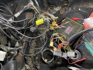 写真 2025-12-11 17 25 27