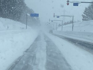 写真 2026-01-24 13 49 35