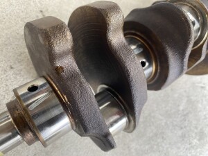 写真 2026-01-11 11 11 13