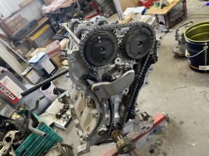 写真 2026-01-25 11 13 54