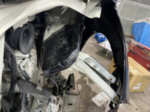 写真 2026-01-15 19 46 54