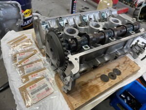 写真 2026-01-25 9 22 06