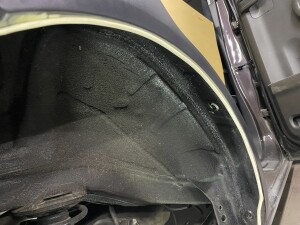 写真 2026-01-19 19 36 27