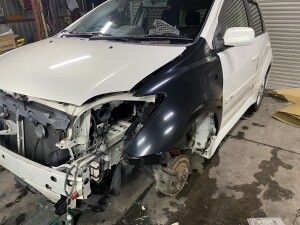 写真 2026-01-15 19 46 49