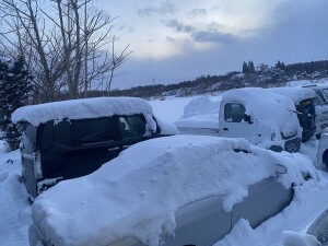 写真 2026-01-21 16 46 57