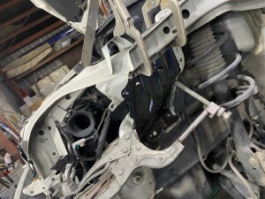 写真 2026-01-15 18 33 27