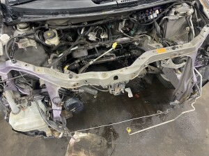 写真 2026-02-10 19 03 36