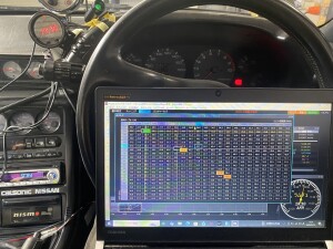 写真 2026-02-23 13 35 21