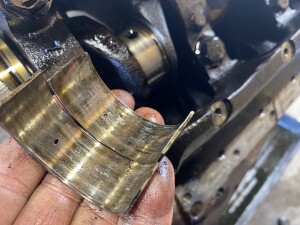 写真 2026-02-08 13 22 01