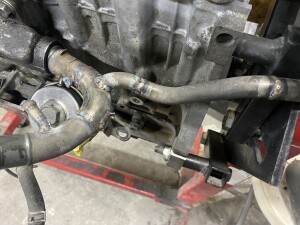 写真 2026-02-07 17 51 38