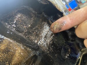 写真 2026-02-08 13 10 28