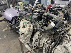 写真 2026-02-10 19 03 24