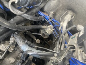 写真 2026-02-05 11 12 29