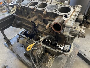 写真 2026-02-08 12 48 41