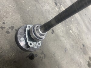 写真 2026-02-09 18 41 17