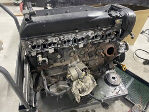 写真 2026-02-03 17 47 11