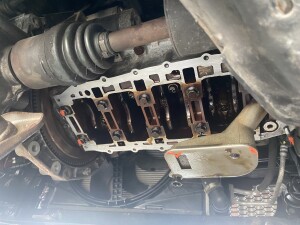 写真 2026-03-30 9 50 05