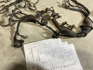 写真 2026-02-28 17 35 34