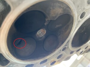 写真 2026-03-14 15 28 10