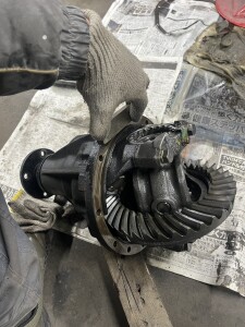 写真 2026-03-01 10 11 08 (4) (1)