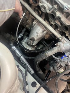 写真 2026-03-11 1 51 11 (4)