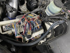 写真 2026-03-30 19 30 06