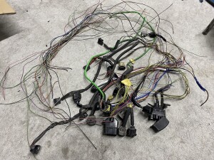 写真 2026-03-04 18 19 10