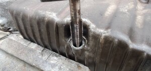 写真 2026-03-31 17 30 26 (1)